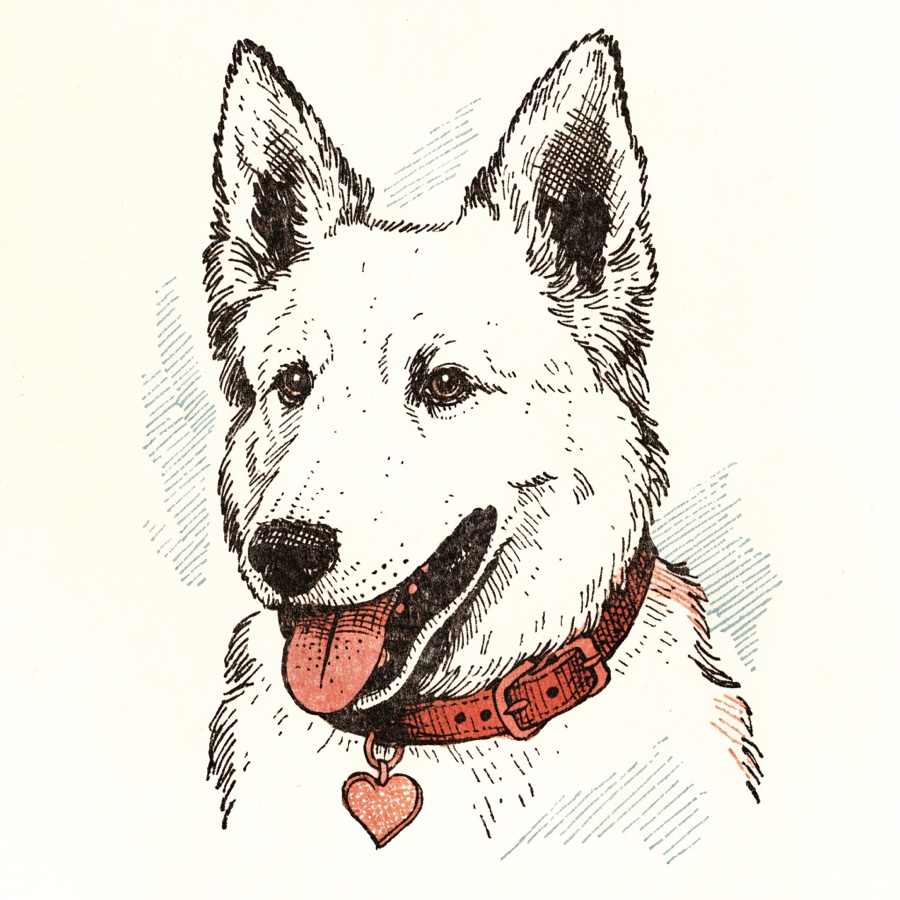 Stipple portrait of Serena, a white shepherd dog